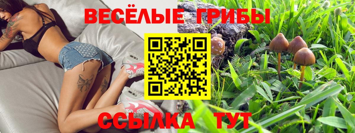 Балашов  Псилоцибиновые грибы прущие грибы  Вход с VPN  Псилоцибиновые грибы ЛСД 